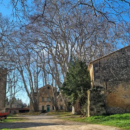 Les Garrigues De La Vallee Des Baux Hotel Paradou Exterior photo