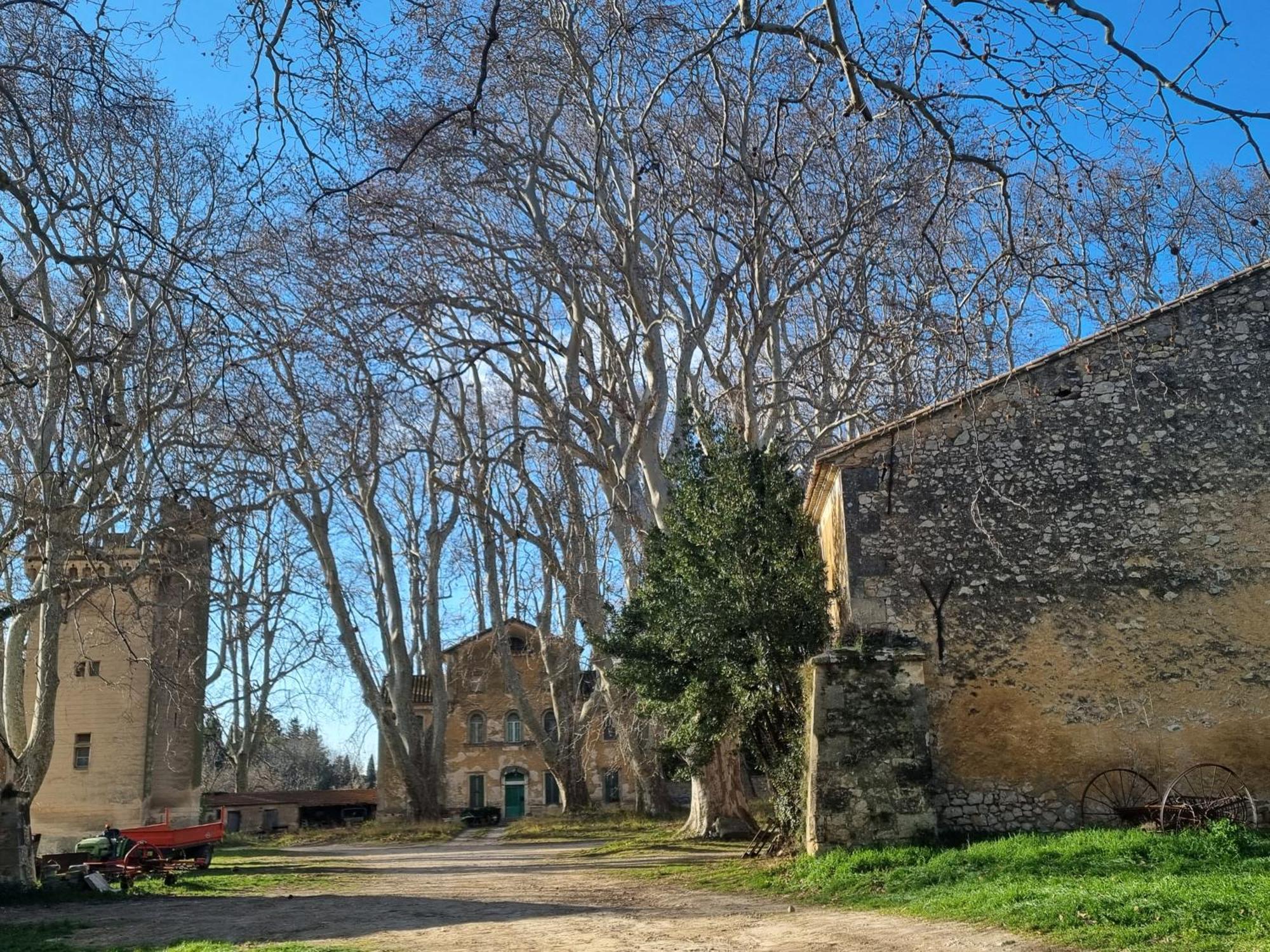 Les Garrigues De La Vallee Des Baux Hotel Paradou Exterior photo