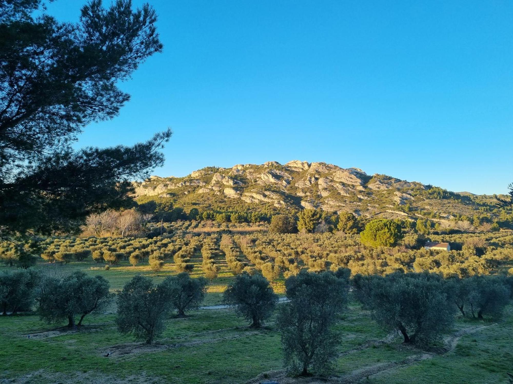 Les Garrigues De La Vallee Des Baux Paradou Exterior photo