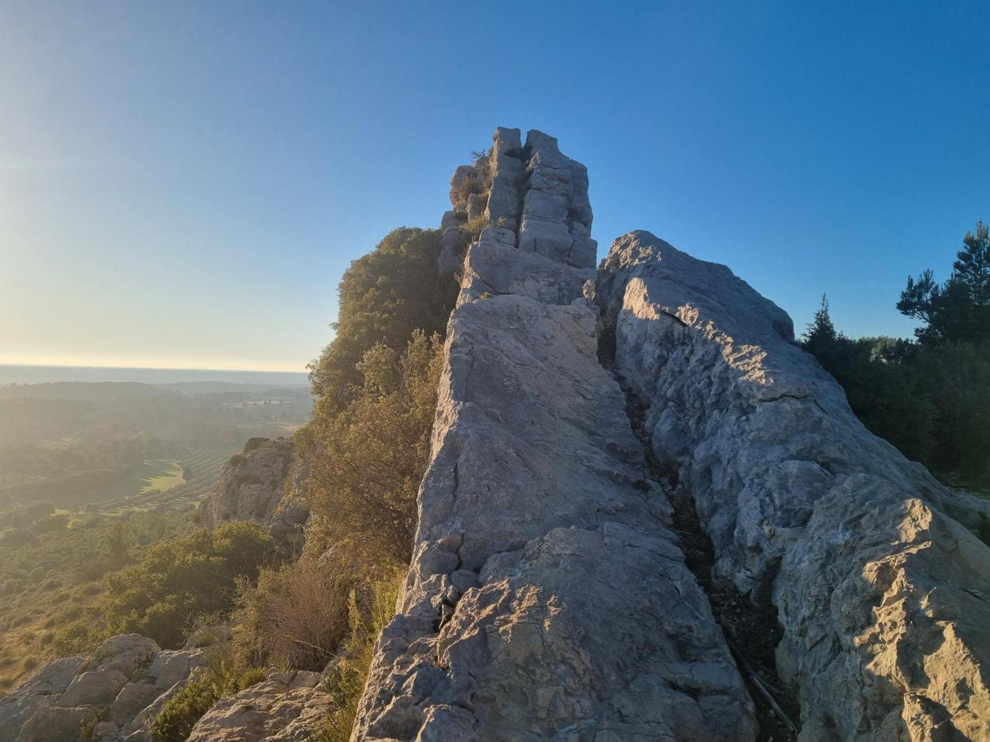Les Garrigues De La Vallee Des Baux Paradou Exterior photo