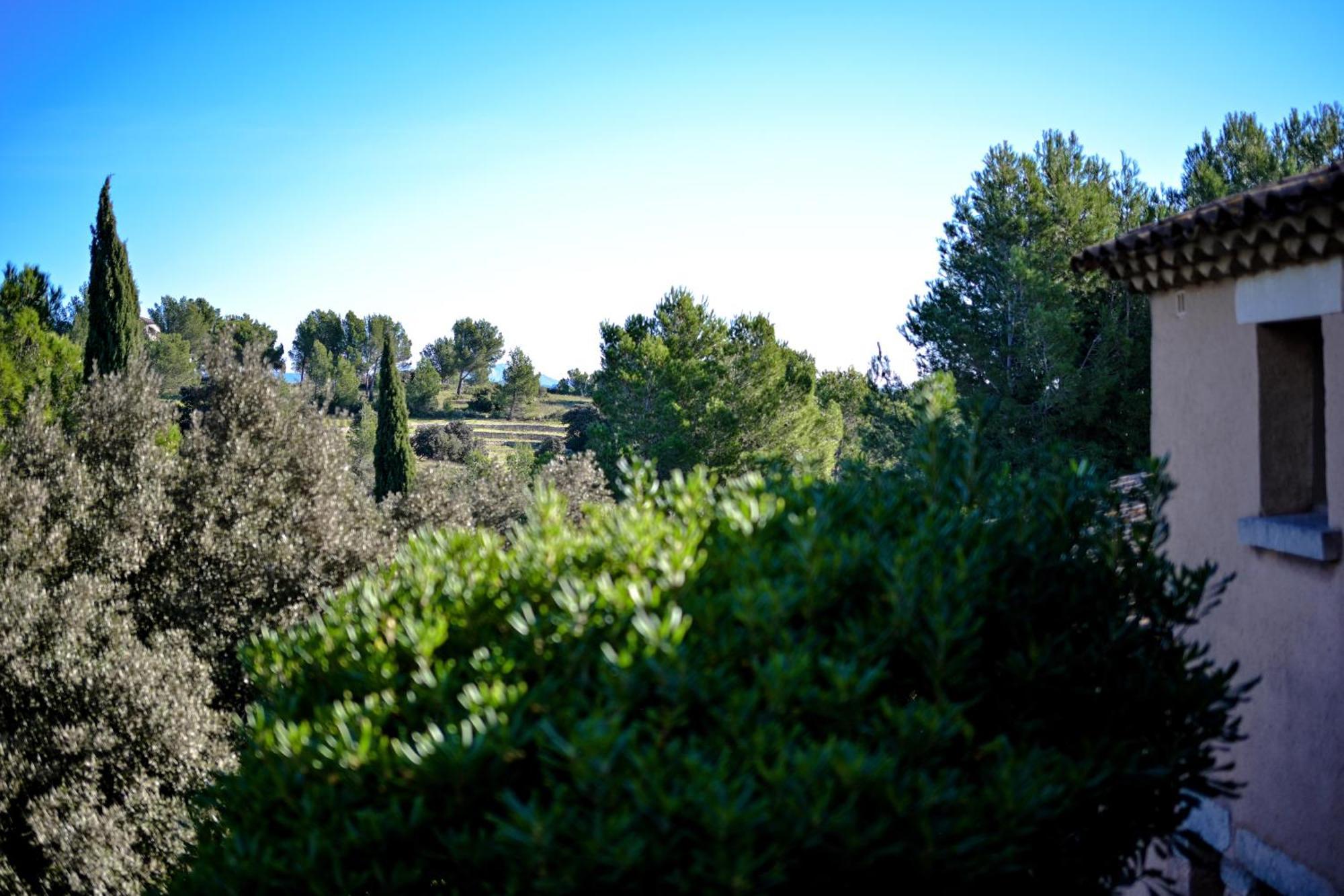 Les Garrigues De La Vallee Des Baux Hotel Paradou Exterior photo