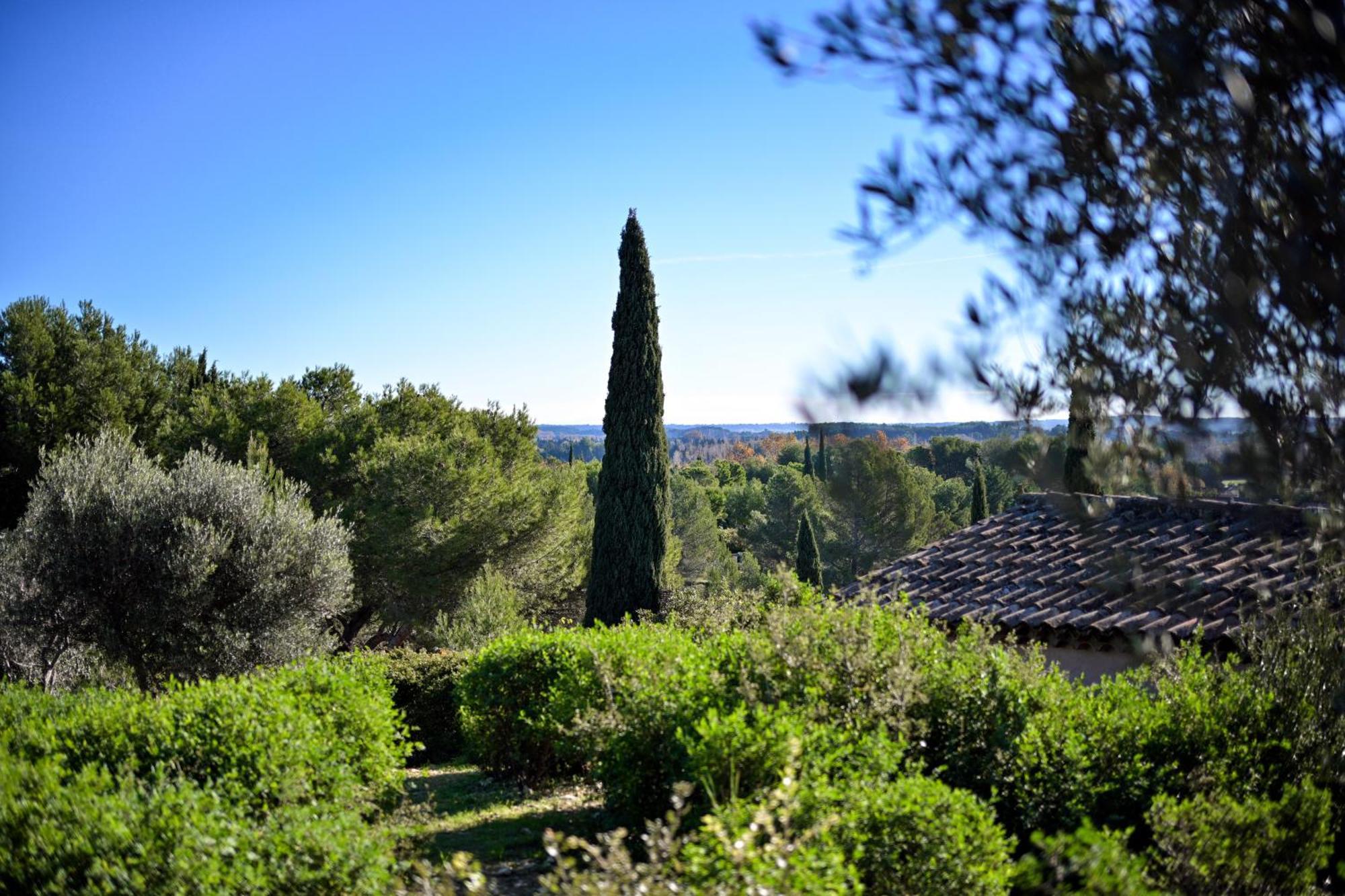 Les Garrigues De La Vallee Des Baux Hotel Paradou Exterior photo