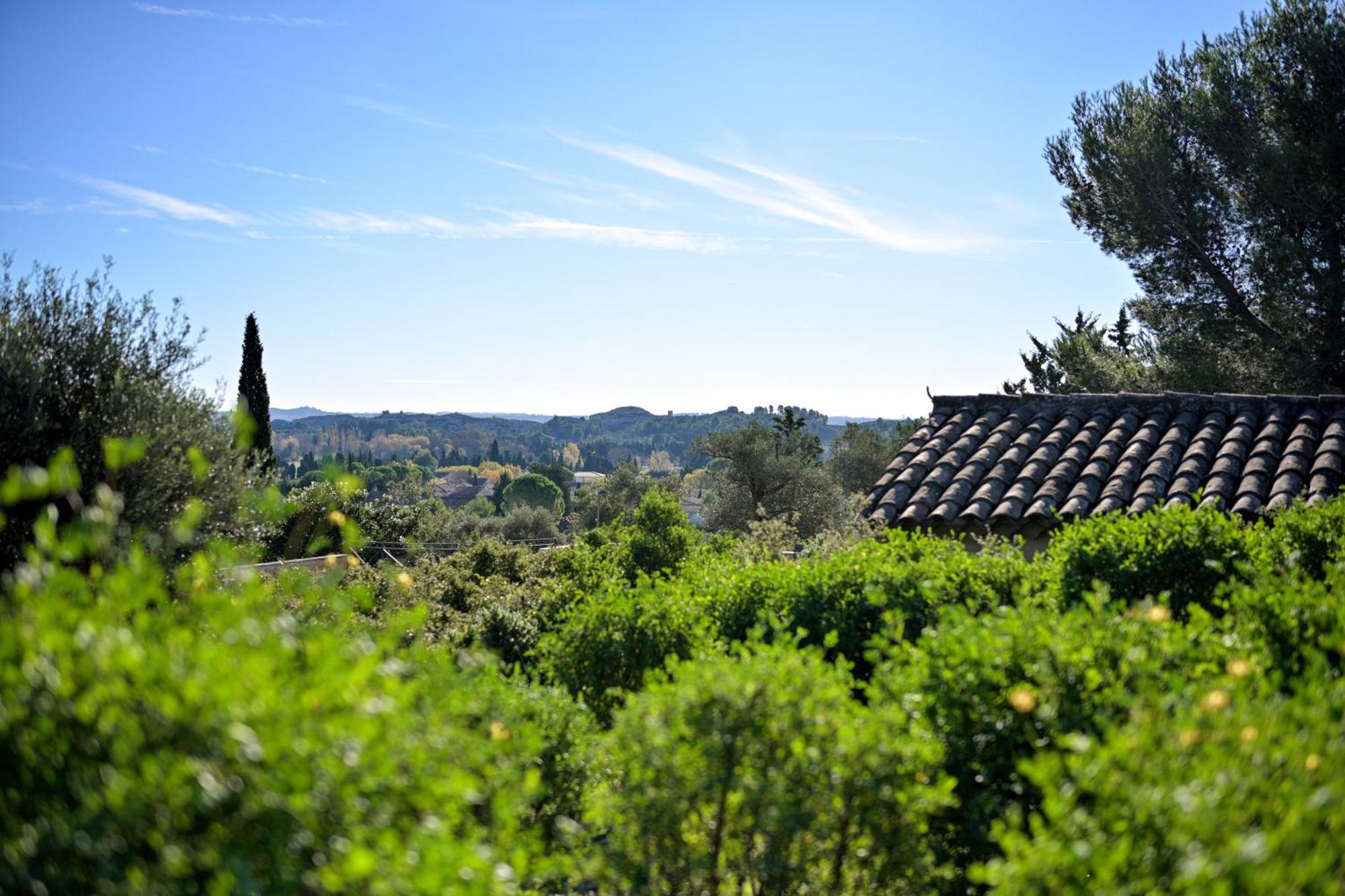 Les Garrigues De La Vallee Des Baux Hotel Paradou Exterior photo