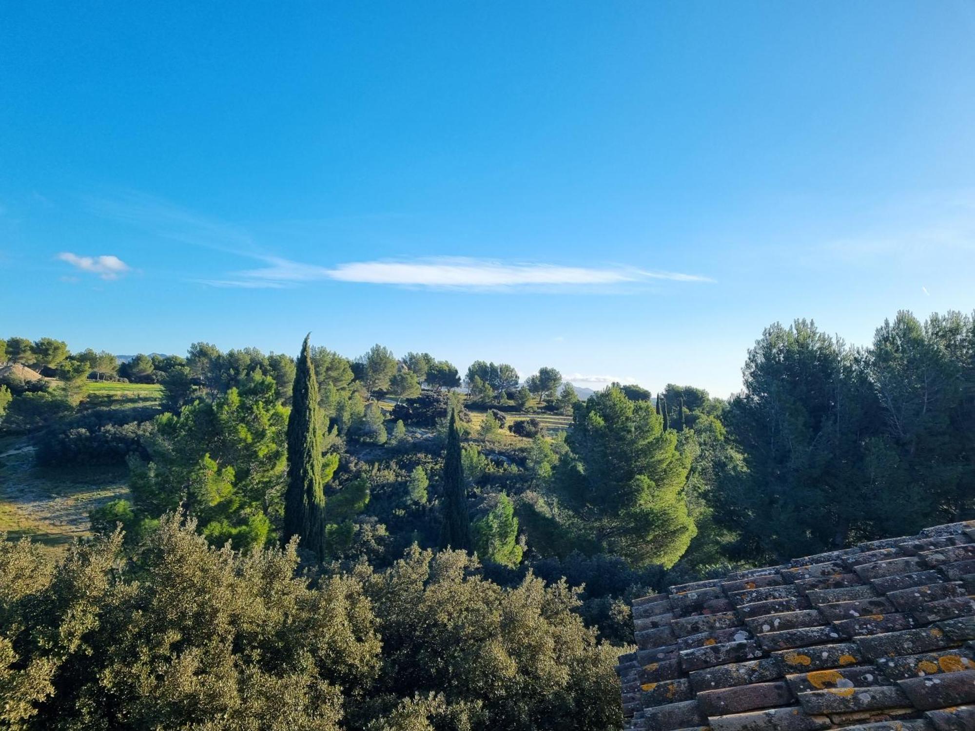 Les Garrigues De La Vallee Des Baux Hotel Paradou Exterior photo